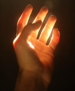 Holistic Hands